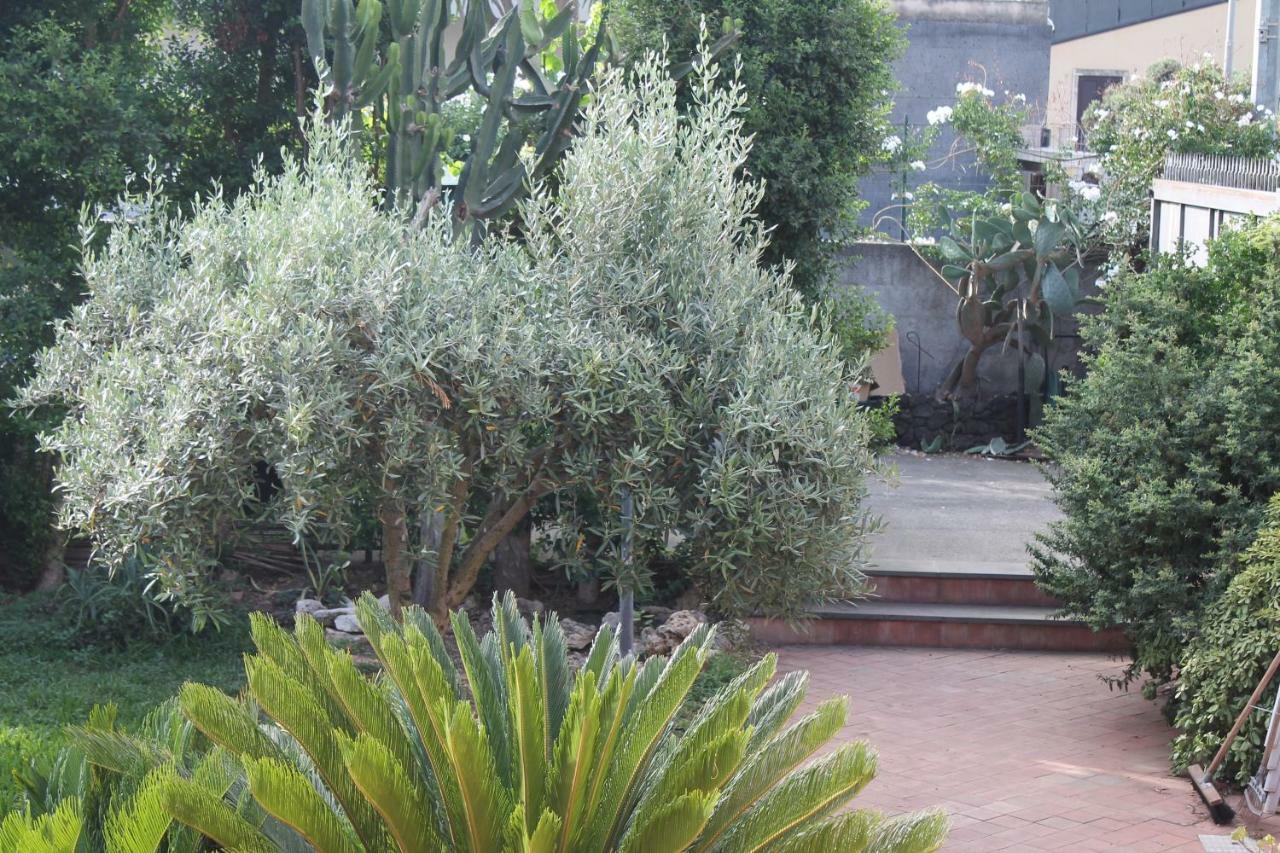 Bouganville Catania Bagian luar foto